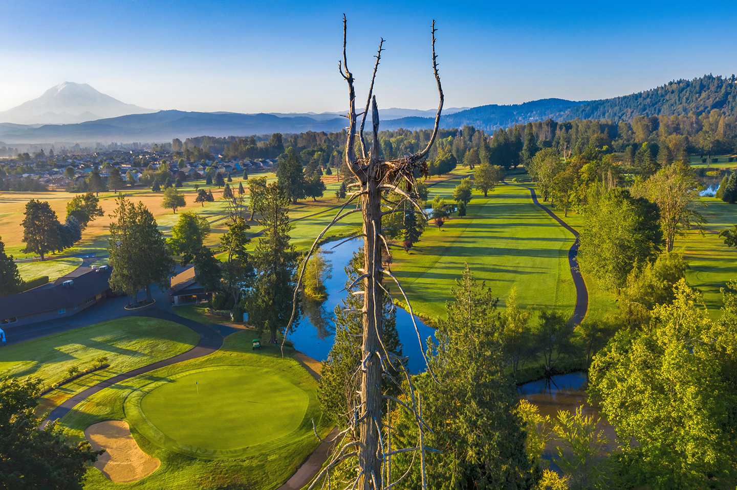 View of golf course with trees and pond